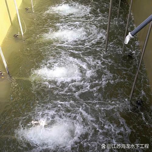 专业污水厂水下摄像公司##水下施工作业公司##潜水员污水厂水下摄像